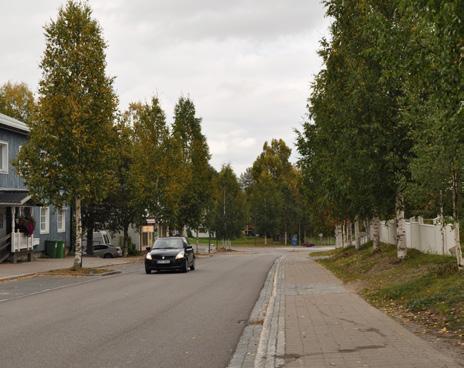 Exempel på hur vägrummet konkretiserats med hjälp av trädrader