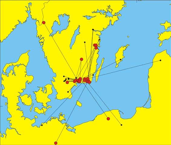 Figur 7: Strömstarar som återfunnits eller ringmärkts på andra sidan Östersjön under