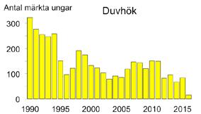 ta ungar finns samma arter som under de närmast föregående åren även om den inbördes ordningen är något annorlunda.