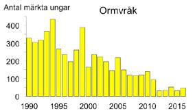 Detsamma gäller blåmes, som detta år hamnar på en andraplats med 7 307 märkta ungar, drygt 2 000 fler än under föregående år.