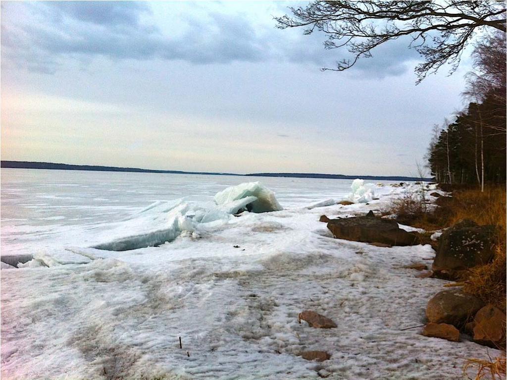 Vinter Vattenståndet under vintern ska vara högt för att möjliggöra isprocesser i så stor del och så högt upp i strandzonen och på öar och skär som möjligt.