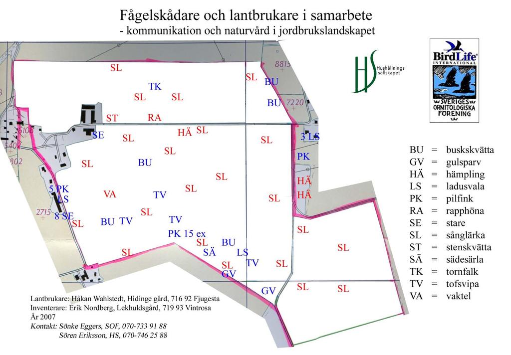 Fågelinventering 2007, 22