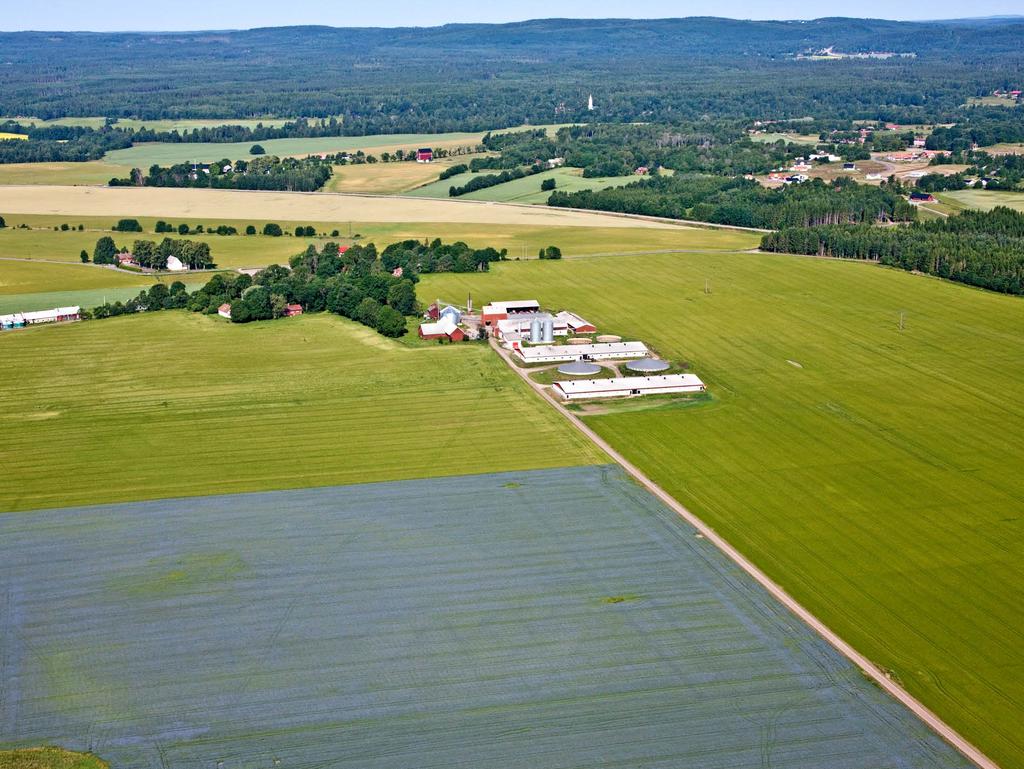 Hidinge Gård, Gynnar mångfalden, på väg mot