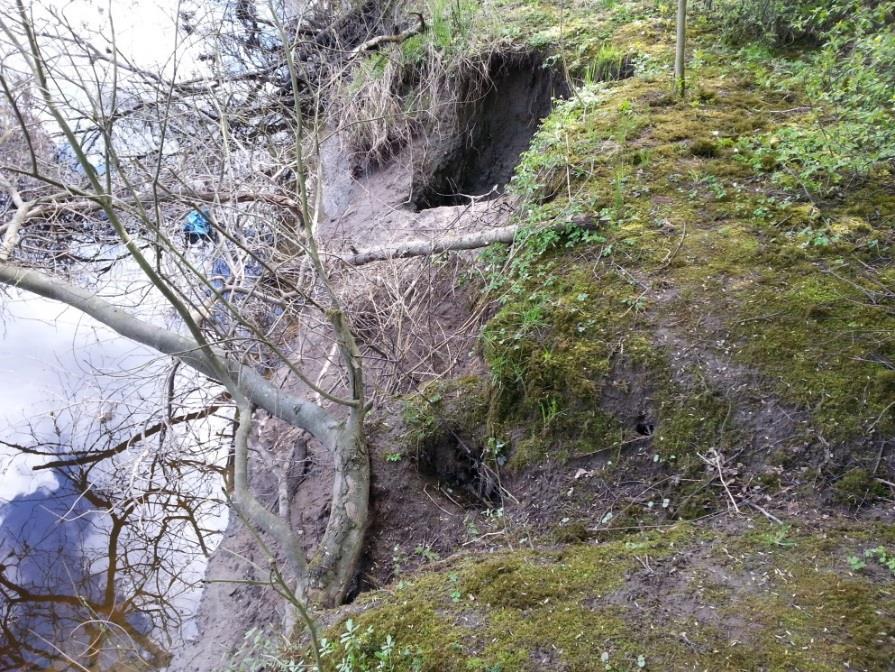 Figur 3: Erosion längs Säveån inom det planerade åtgärdsområdet. Figur 4. Exempel skred Munkedal (Källa: www.gp.se).