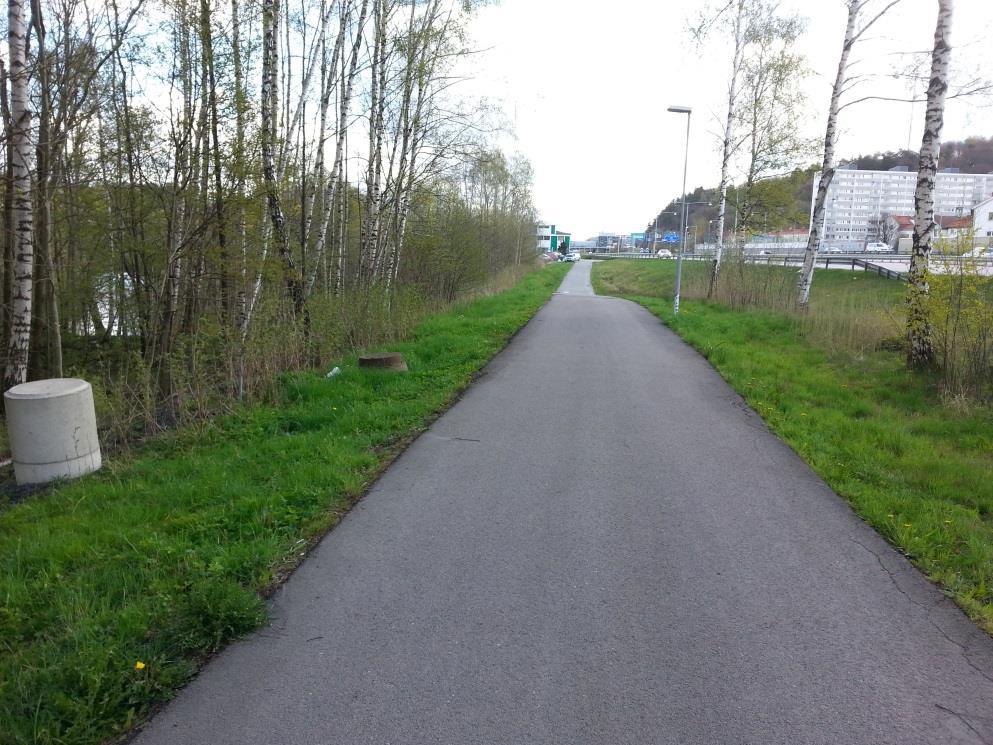 3 Förutsättningar Det aktuella vattenområdet inom vilket åtgärder är planerade ligger ca 500 m nedströms centrala Partille och i anslutning till väg E20 (Partillemotet) på åns södra sida.