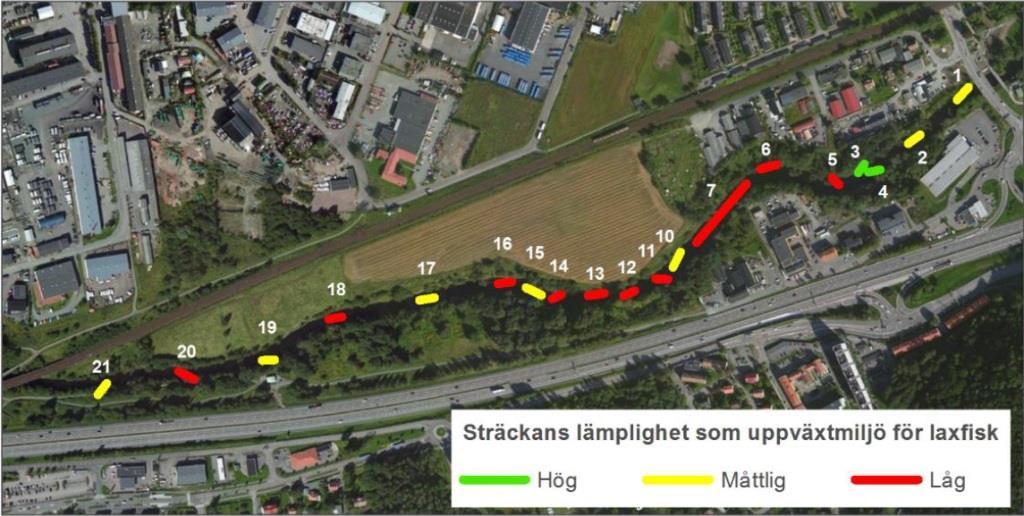 tidigare videodokumenterade sträckan strax söder om Kung Göstas väg (ca 500 m uppströms det planerade åtgärdsområdet) och järnvägsbron ca 800 m nedströms det planerade åtgärdsområdet av Medins