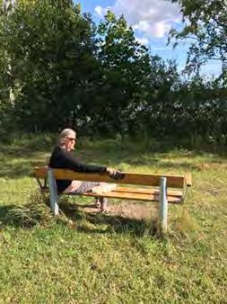 4 *Som det ser ut idag har de som satt upp bänkar runt om i kommunen