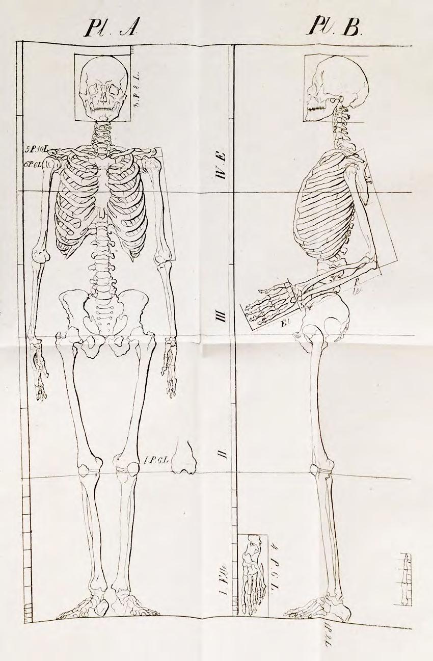 14.