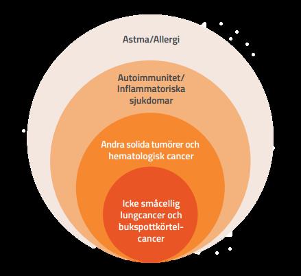 När fas I-data finns rapporterat avser Cantargia att dessutom starta en klinisk fas IIa-studie mot leukemi.