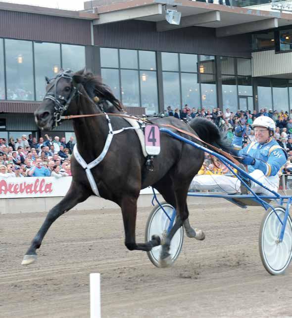 banprogram Bli en del av upplevelsen