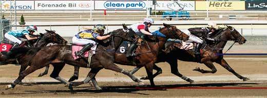 22:32 b Brizy Montéryttarserie - omgång 5 - Grillnattas Montésprint 4-åriga och äldre 200.000-1.800.000 kr. 1609 m. Monté. Autostart. Pris: 50.000-22.500-12.000-6.700-4.800- (4.000) kr.