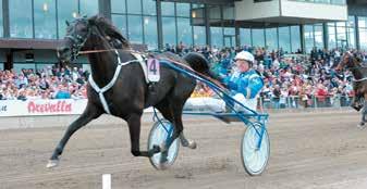 19:15 StoChampionatsvinnaren Some Summits lopp - Stolopp Ston högst 15.000 kr. 2140 m. Voltstart. Pris: 30.000-13.500-8.500-5.700-3.650- (2.700) kr. Hederspris till segrande hästs ägare.