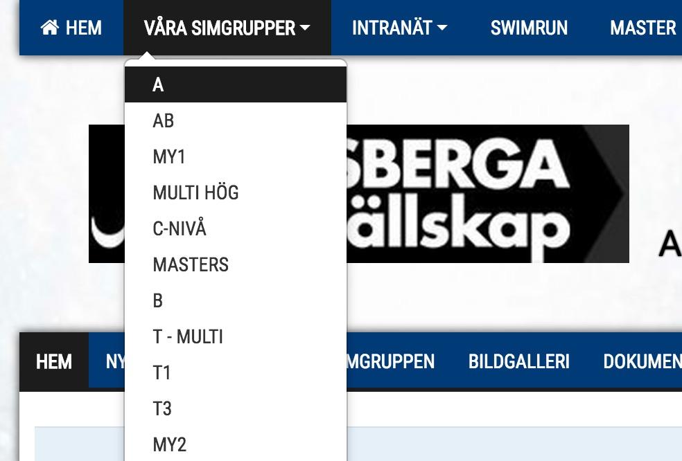 HEMSIDA Nu när hemsidan är driftsatt kan du börja använda din simgrupps egna hemsida. Vi har satt upp grundrubriker och text så att du både lättare och snabbare kommer igång.