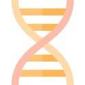 Klinisk beskrivning Verkningsmekanismen när Modufolin administreras i kombination med 5-FU (Cytostatika) TS Ternärt komplex 5-FU DNA-syntes blockerad DNA 5-FdUMP MTHF Definitioner: 5-dUMP