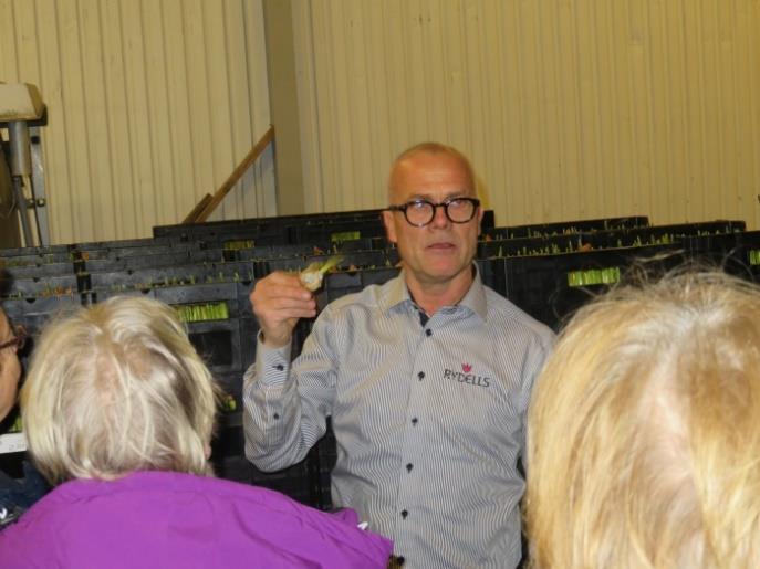 försäljningschef Anders Karlsson informerade bland annat om tulpanlökens väg från små