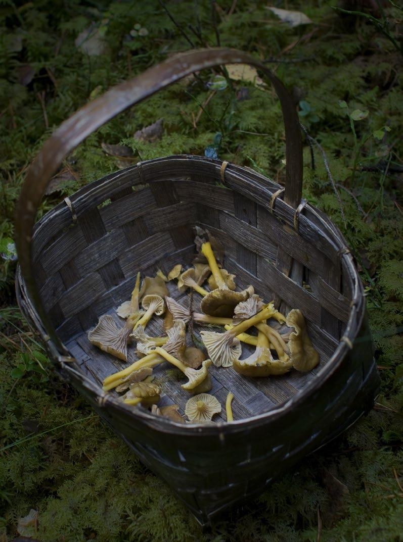 Med det goda småstadslivet i en nära och högt värderad natur- och kulturbygd bidrar