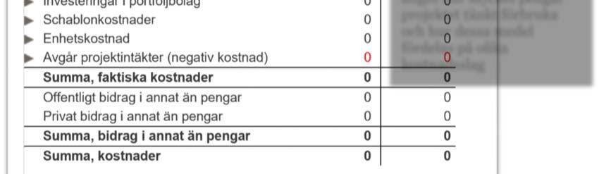 Fliken Budget Under denna flik finns först kostnadsbudgeten, det vill säga vilka kostnader som projektet i sin helhet