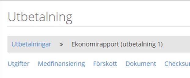 Registrera utgifter Klicka på Utgifter för att