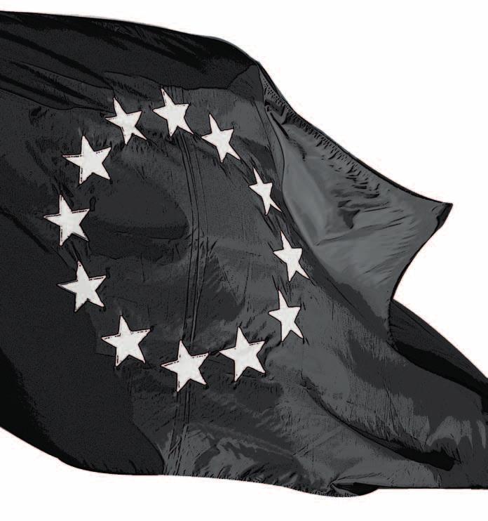 8 Tillsammans skapar Ett nytt fördrag Fördraget om Europeiska unionen / Avdelning II Bestämmelser om demokratiska principer / Artikel 11 1.