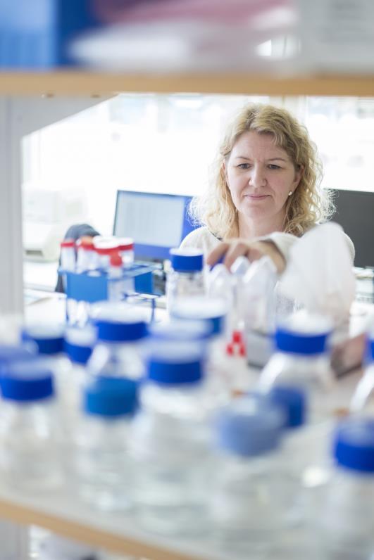 Sprint Bioscience är ett läkemedelsbolag som utvecklar läkemedel inom området cancer och diabetes.