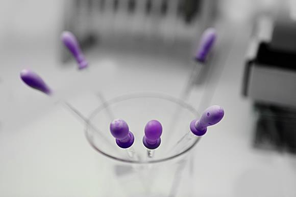 Sprint Bioscience utvecklar innovativa läkemedel med fokus på cancer och metabolism.