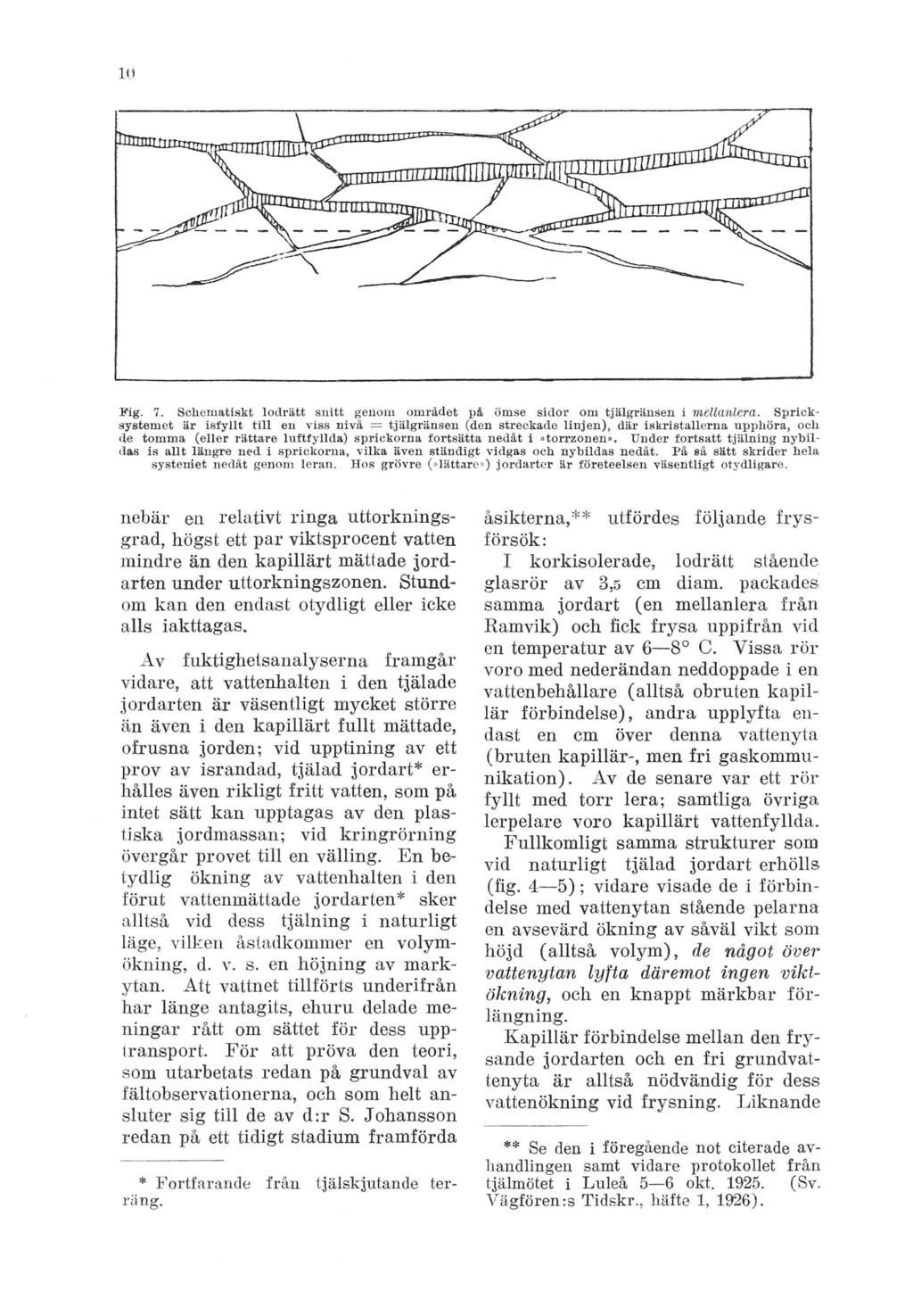 Fig. 7. Schematiskt lodrätt snitt genom området på ömse sidor om tjälgränsen i mellanlera.