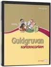 igenom i grundböckerna.