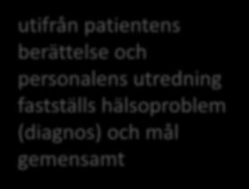 personal genomför en utredning och identifierar hälsoproblem (diagnos) och