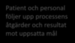 Processmodell för hälso- och sjukvård NI, steg 4-6 4. Bedöma behov av åtgärder 5. Åtgärda 6.