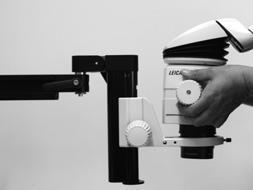Montering av mikroskophållare och steromikroskop Mikroskophållare fokuseringsdrev Ta av säkringsskruven på framsidan av fokuseringsdrevet.