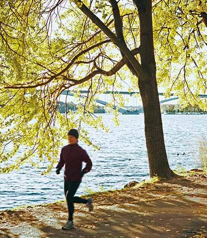 om grön stadsplanering Funktionalismens strävan efter ljus, luft och natur var förankrad i en ambition att boendet skulle bidra till välbefinnande och hälsa.