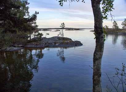 Och dragkampen mellan Tived och Finnerödja - samt en massa nöjda besökare och arrangörer. Utnäset - naturreservat utmed Vätterns strand söder om Olshammar bjuder på otroligt vacker natur.