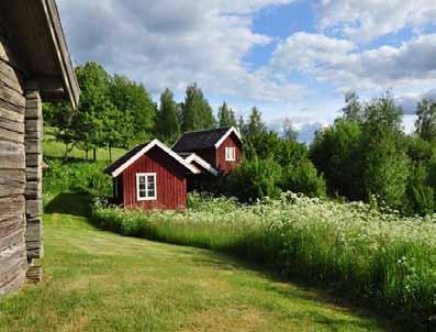 Leif Pettersson från Karlsborgs Naturskyddsförening berättar om den intressanta växtligheten i reservatet.