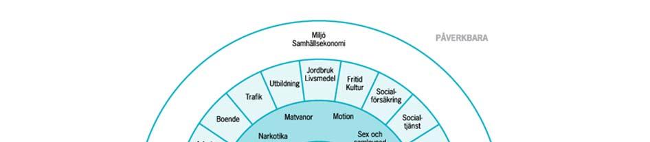 Hälsans bestämningsfaktorer är en modell av Dahlgren G. och Whitehead M.