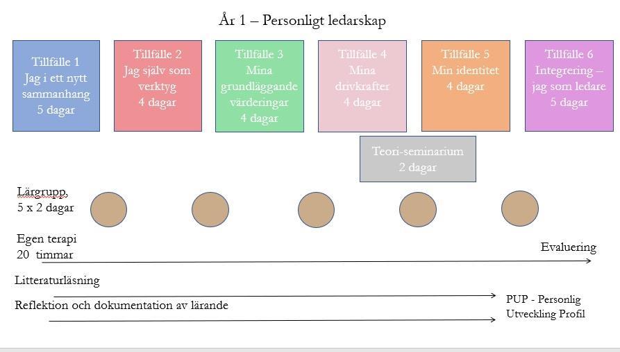 År 1 Personligt ledarskap Mål Det övergripande målet för år 1 är att lägga grunden för att kunna använda dig själv som instrument (se teman ovan) genom en ökad självkännedom och medvetenhet kring