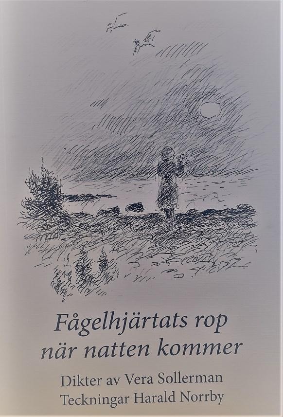 Christina Börjesson recenserar "Fågelhjärtats rop när natten kommer" av Vera Sollerman och teckningar av Harald Norrby.