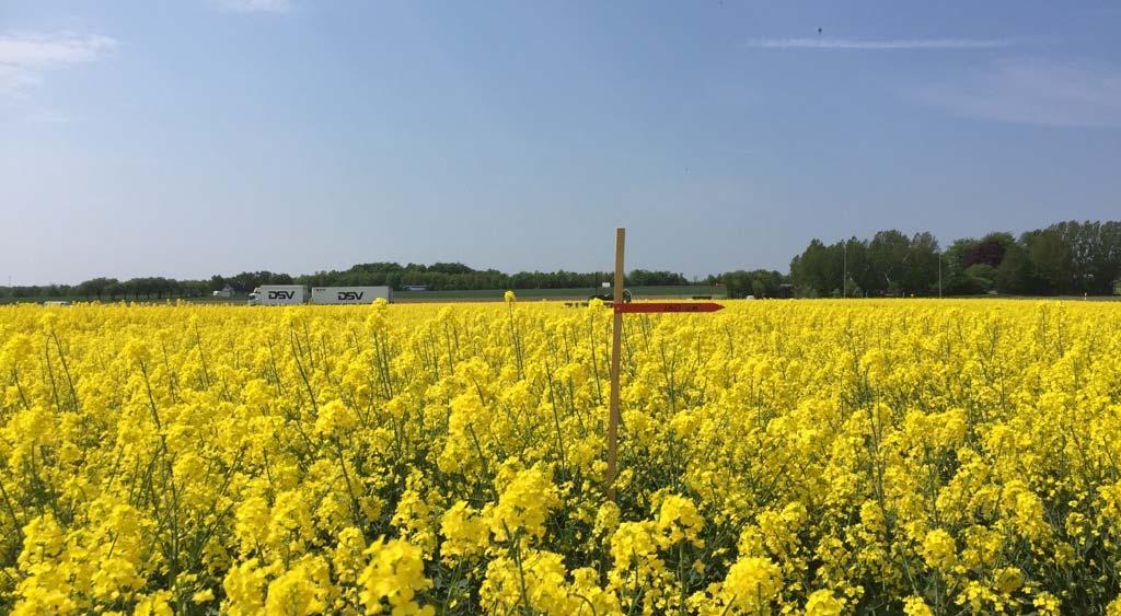 Rapsdagen den 27