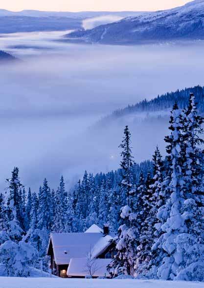 TRANSFER TILL FJÄLLET ÅRE OCH VEMDALEN