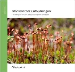 Att upptäcka elever i behov av särskilt stöd Grundsärskolan har idag en tydlig arbetsgång för elever i behov av stödinsatser. Steg Dokumentnamn Användning 1.