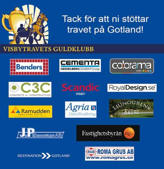 NUMMERBRICKSFÄRGER Hästarnas nummerbrickor visar vilket lopp de tävlar i.