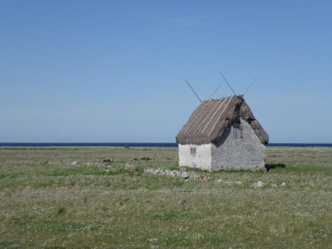 Stora Karlsö Foto: Enar