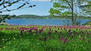 648 26 81 eller e-post karin_eckardt@yahoo.com. Resorna genomförs i samarbete med SPF.