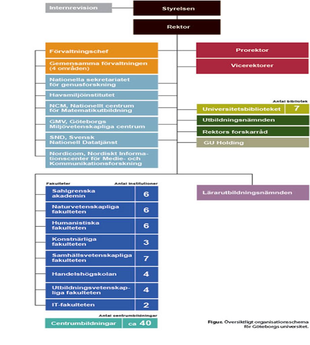 Figur 9: Organisationsschema för Göteborgs Universitet (Göteborgs Universitet, 2012). Utbildningsnämndens främsta uppgift är att utveckla universitetsgemensamma normer för utbildningen.