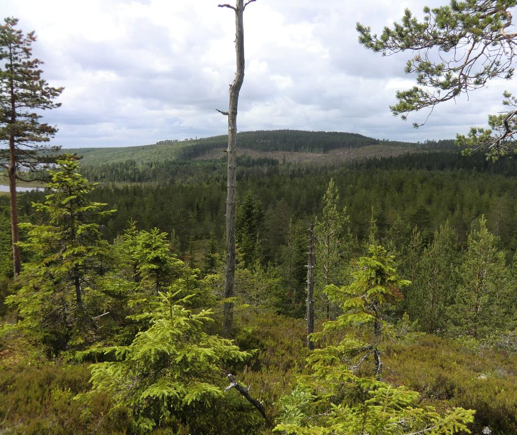 Arkeologisk utredning kring RÄMSBERGET med anledning av planerad vindkraftsetablering i