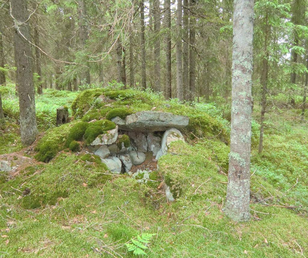 Figur 6. Spisröset till kojgrunden nr 6. I bakgrunden till höger skymtar man kolbottnen. Fotograf: Greger Bennström. Resultat De kartstudier som gjordes gav inte något större resultat.