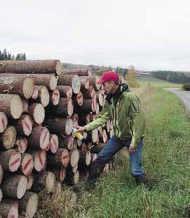 Beroende på vad man kommit överens om med skogägaren riktas virkesinköparnas anbud direkt till skogsvårdsföreningen eller till skogsägaren själv.