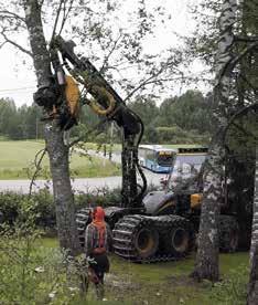Kriterium 4 förutsätter att alla skogsägare, som äger över 50 hektar skog, har till sitt förfogande en skogsbruksplan eller beståndsvis skogsdata.