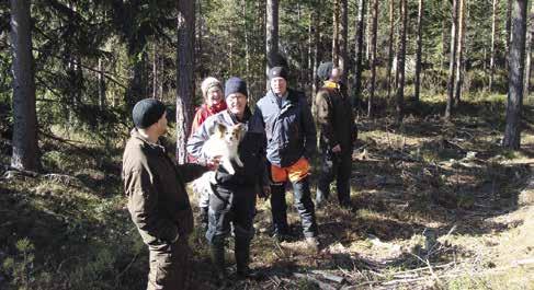 Ombord på pråmen ryms ca 120-140 m³ beroende på sortiment. Virket körs till Isnäs hamn där det lyfts på lastbilarna.