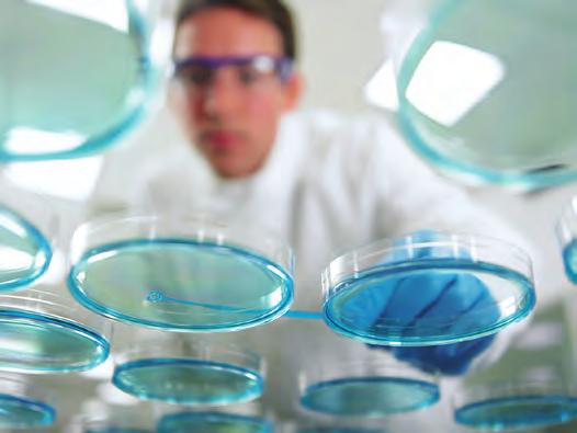 bakgrunden till uppkomst av njursjukdom. pril Vad fick dig att börja arbeta inom läkemedelsindustrin? Att börja på AstraZeneca var helt rätt för mig.