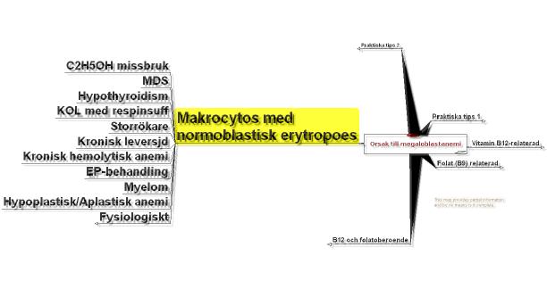 Makrocytos med